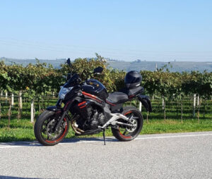 TRA I VIGNETI